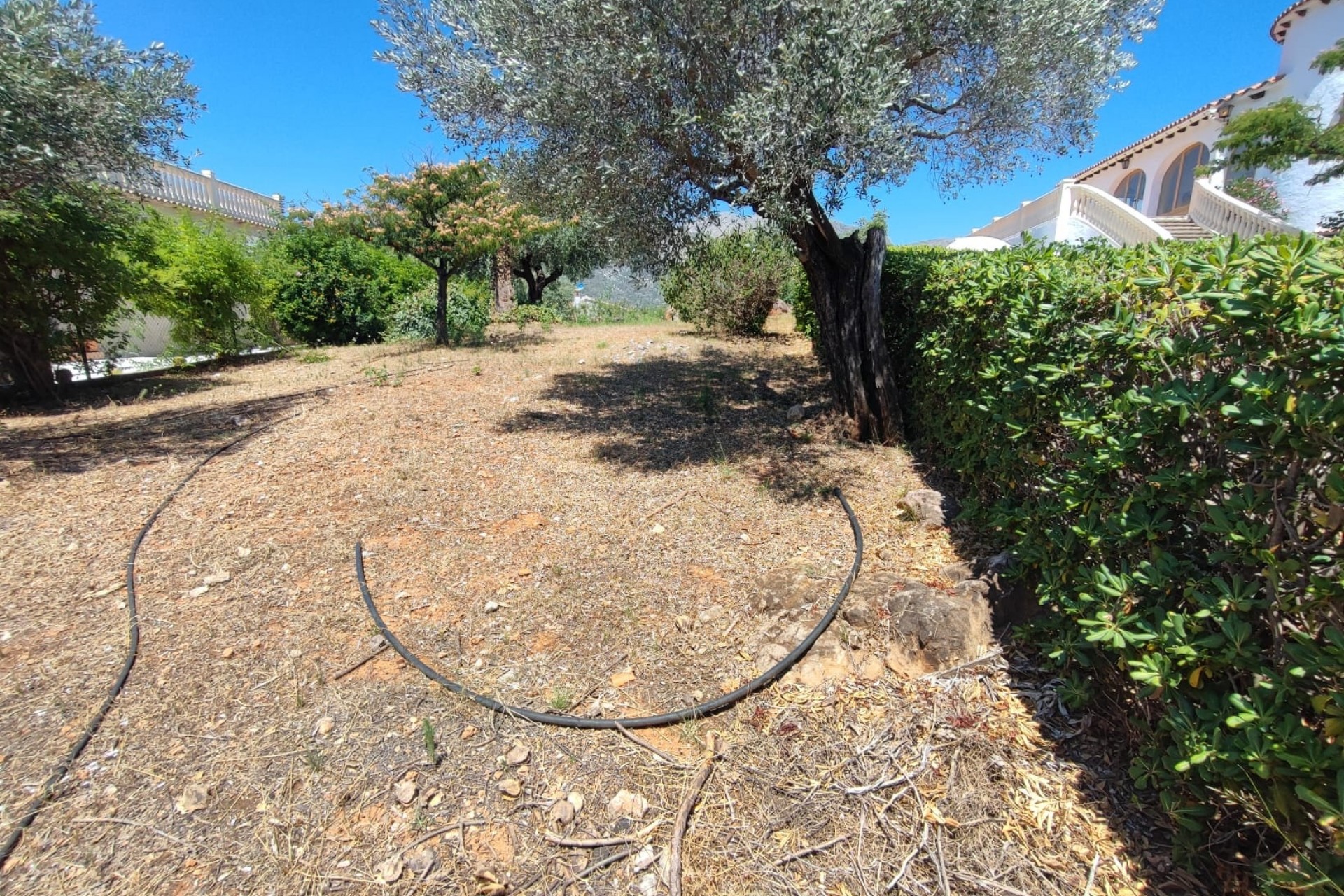 Reventa - Villa -
Orba