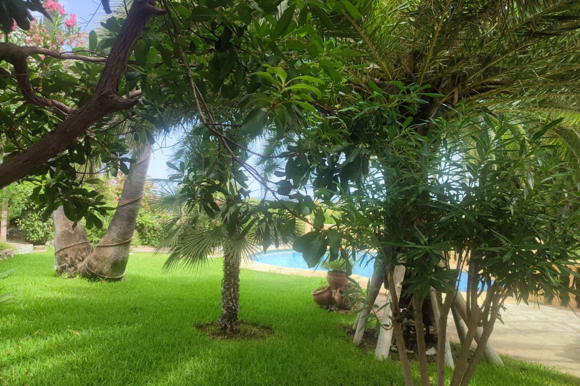 Reventa - Villa -
Pedreguer