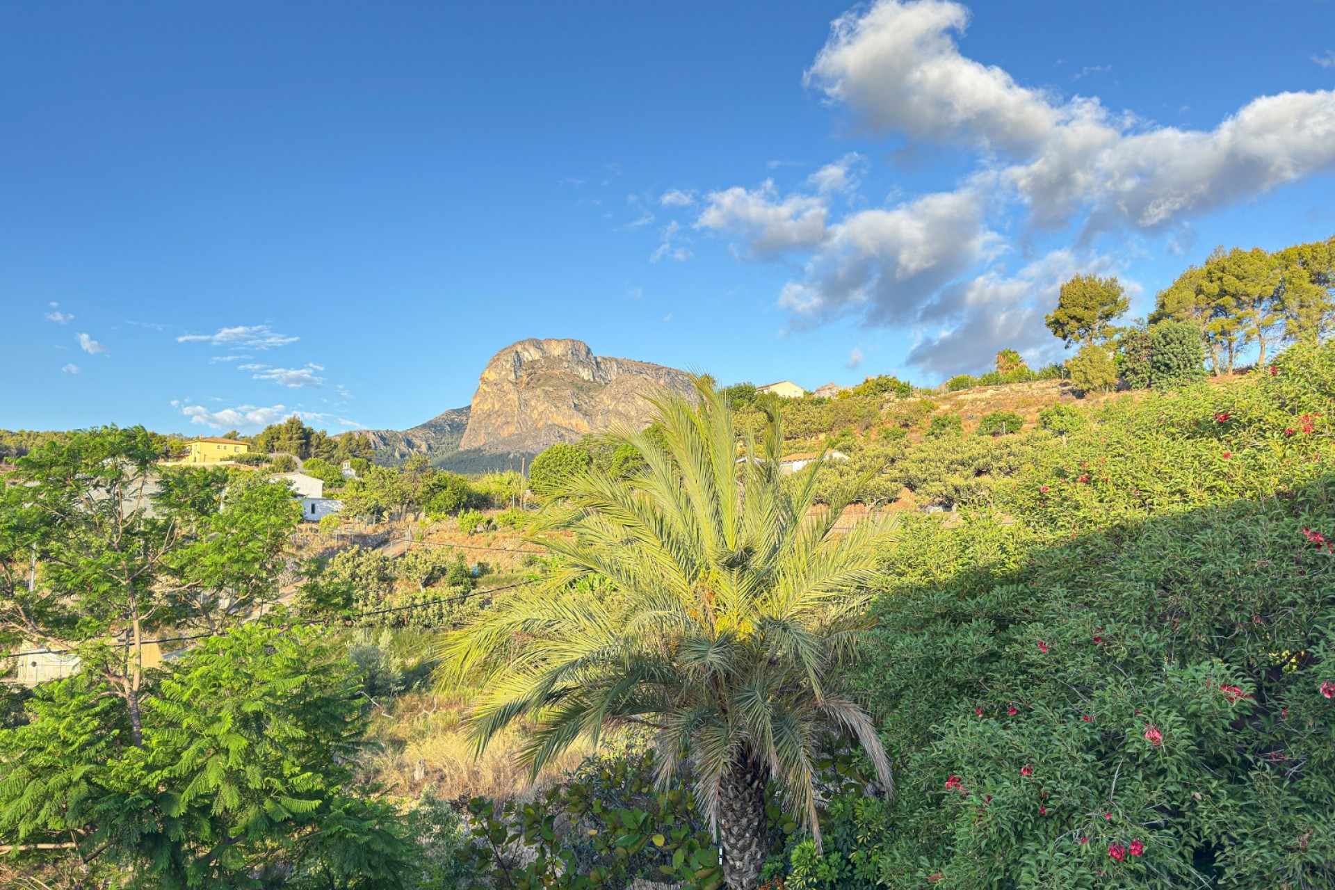 Reventa - Villa -
Polop