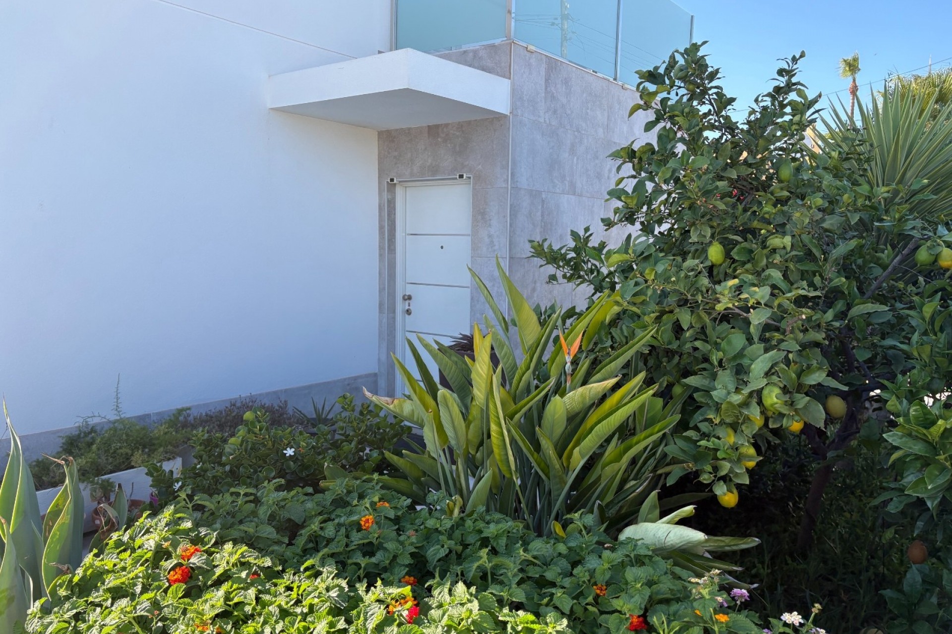 Reventa - Villa -
TORREVIEJA - Torreta - Florida