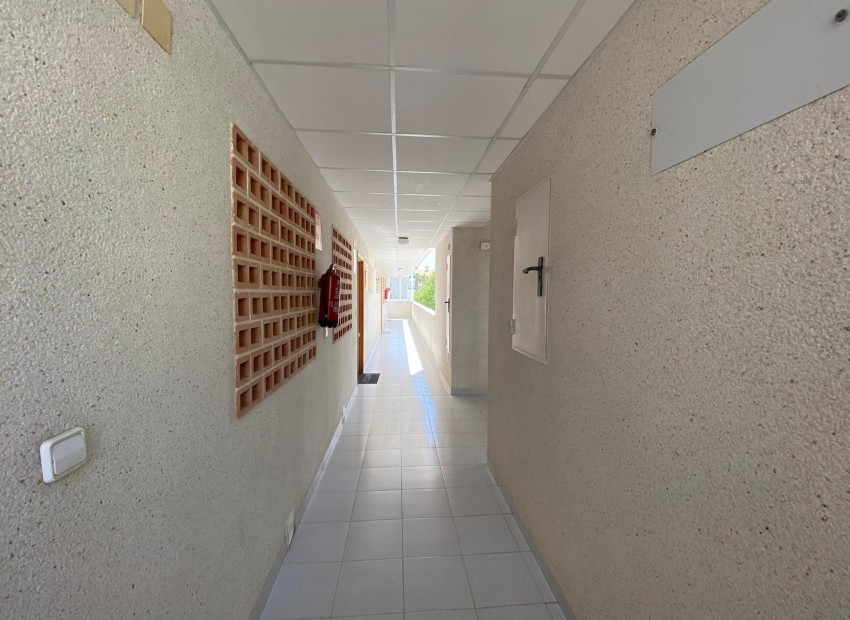Revente - Appartement -
Albir