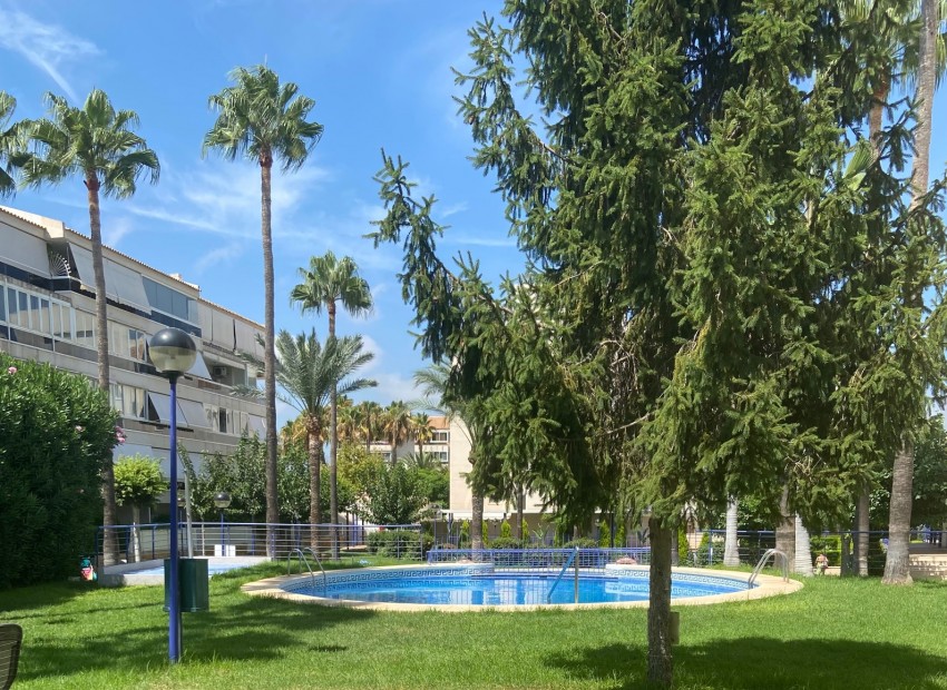 Revente - Appartement -
Albir
