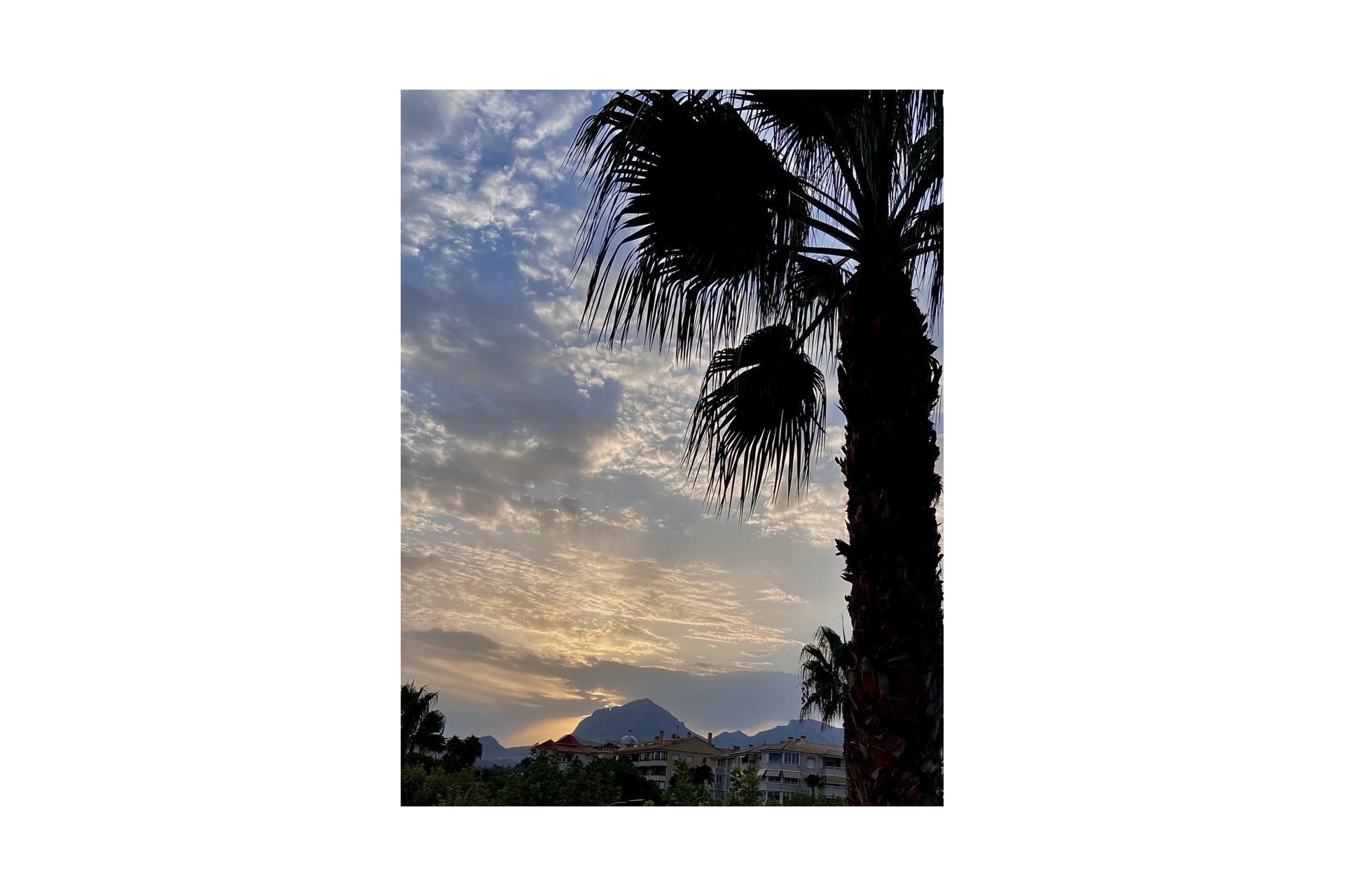 Revente - Appartement -
Albir