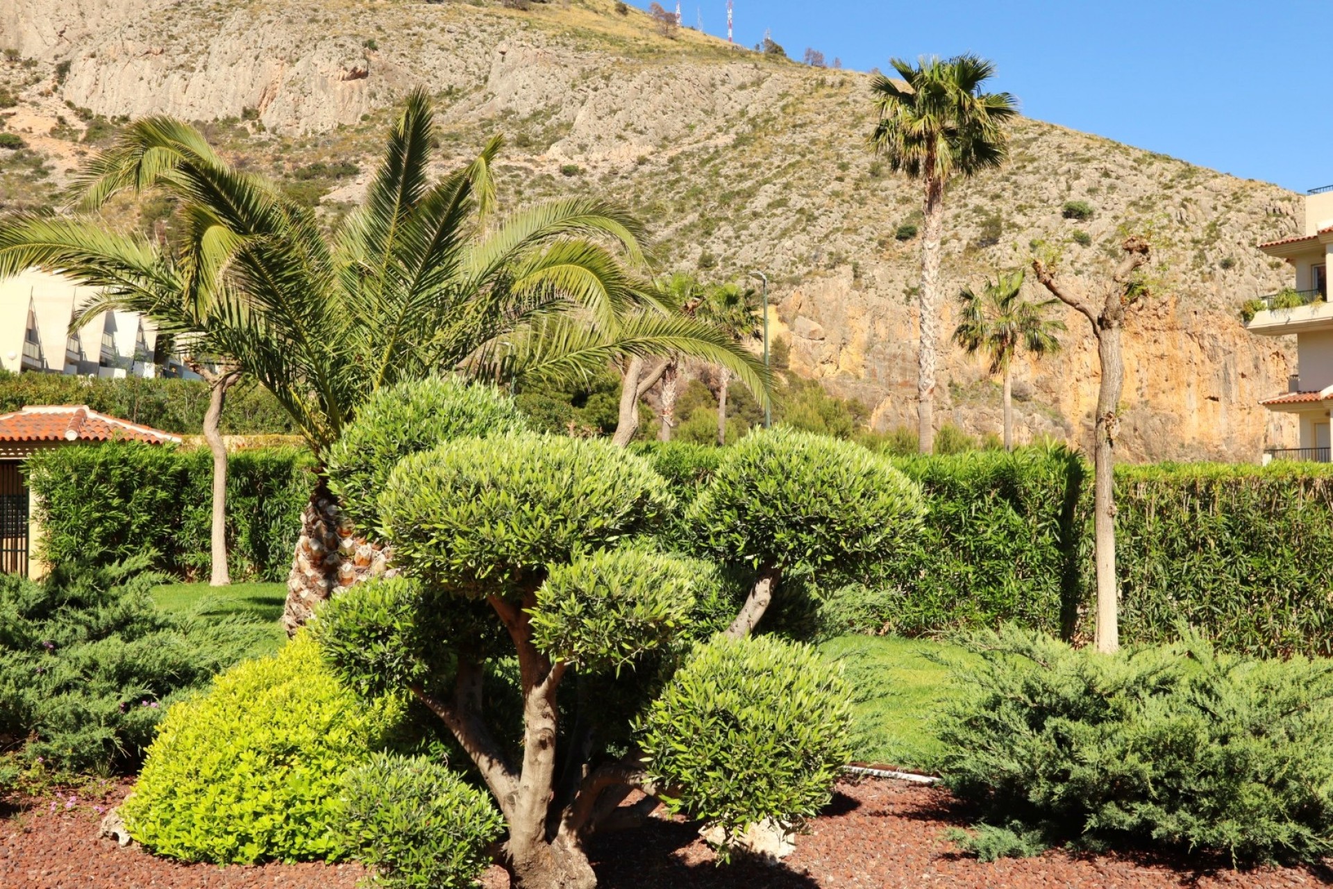 Revente - Appartement -
Altea - Mascarat