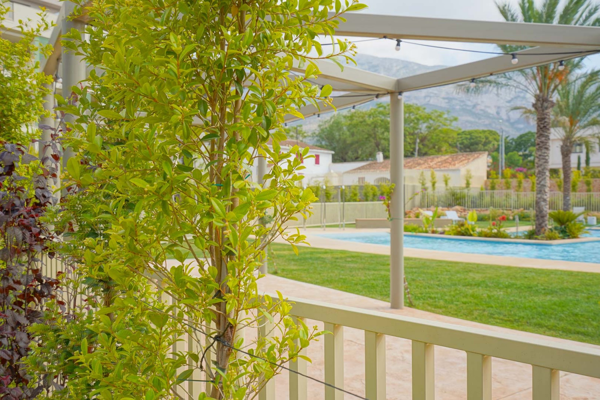 Revente - Appartement -
Denia - Port