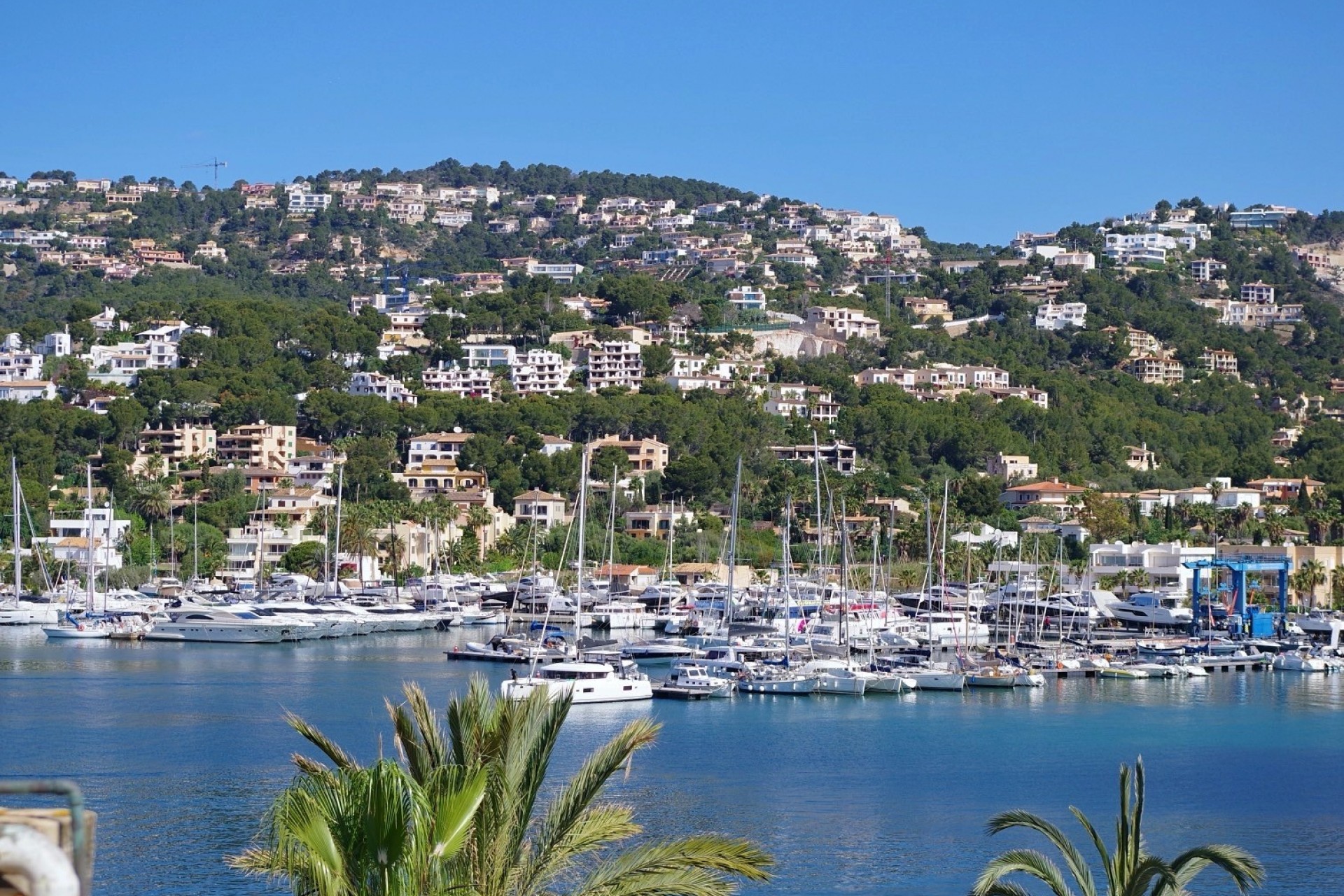 Revente - Appartement -
PORT D'ANDRATX - Andratx