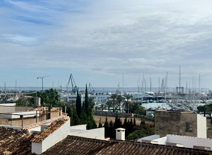 Revente - Attique -
PALMA