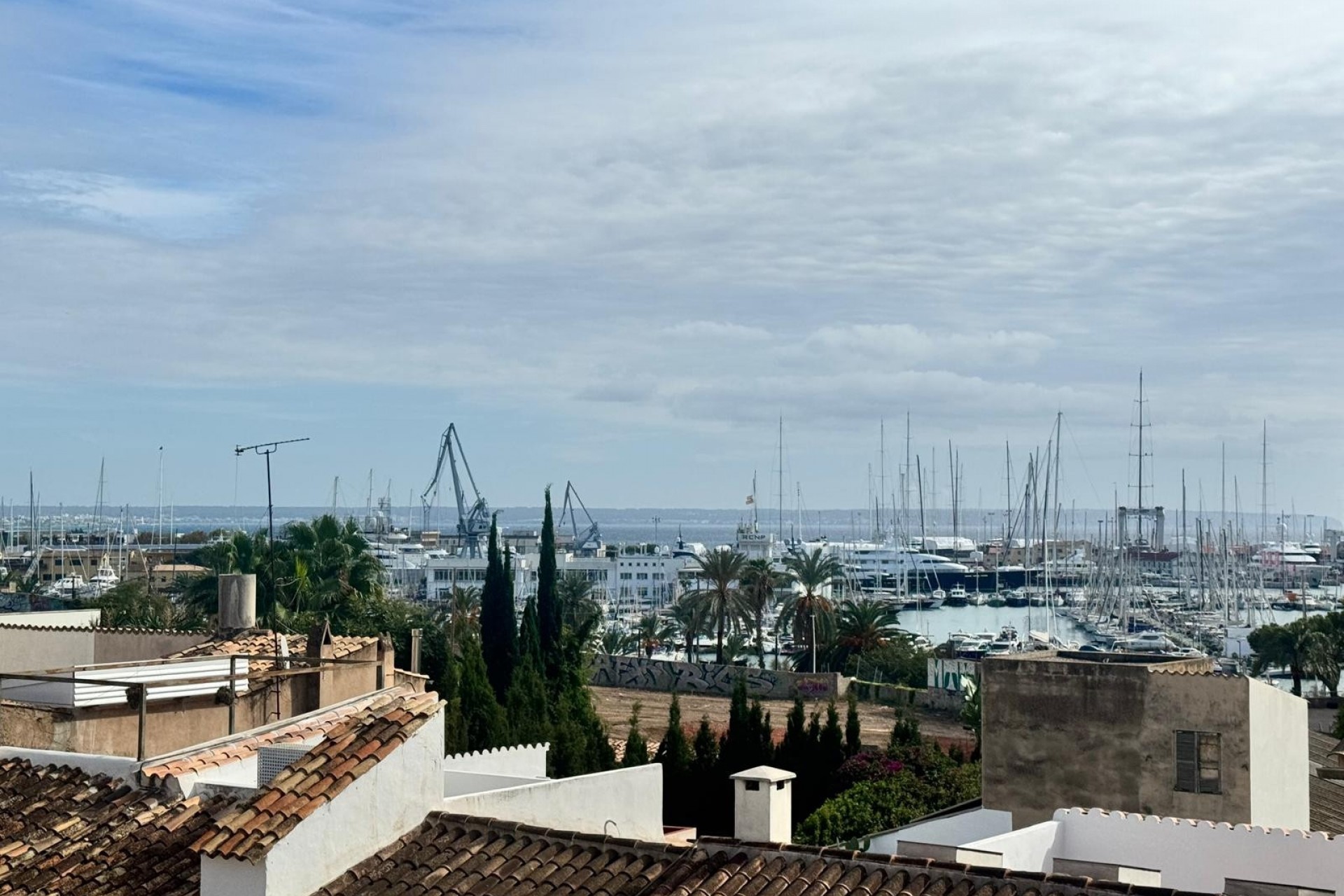 Revente - Attique -
PALMA