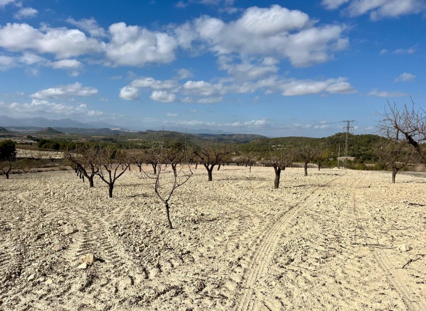 Revente -  -
BULLAS - Costa Calida
