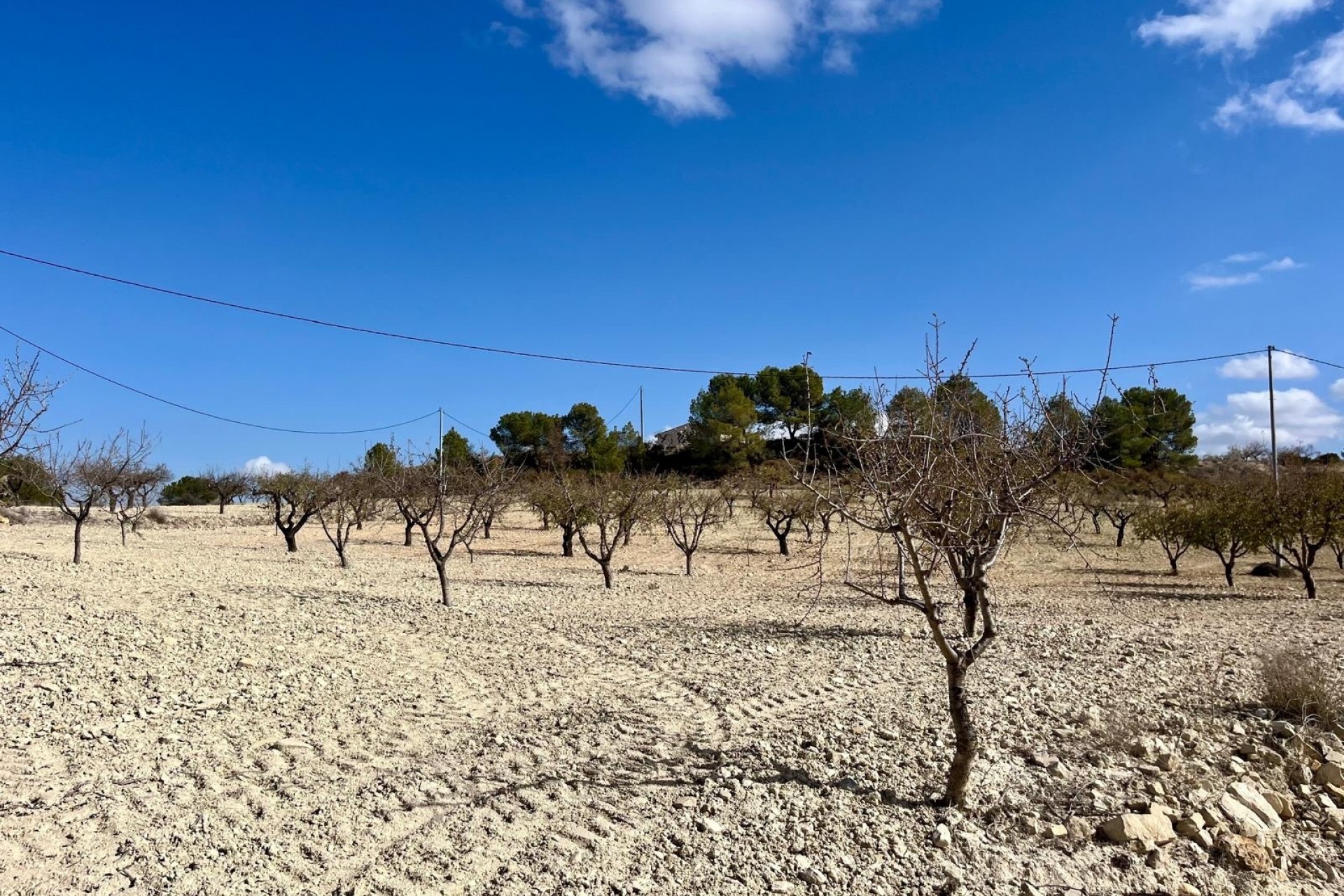 Revente -  -
BULLAS - Costa Calida