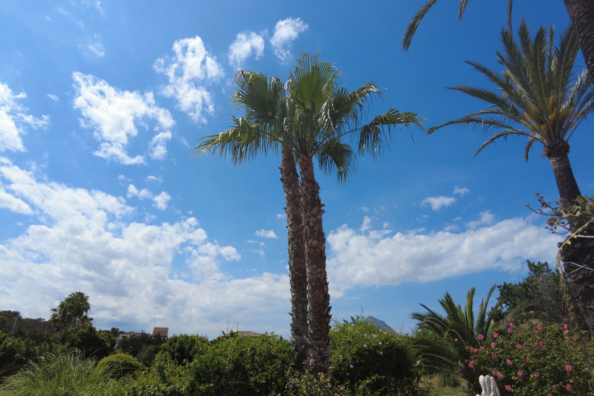 Revente -  -
Jávea / Xàbia - Montañar - El Arenal