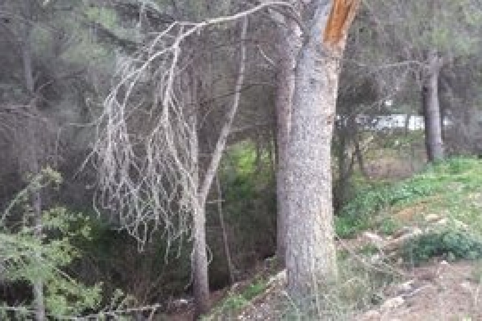 Revente -  -
Jávea / Xàbia - Partides comunes - Adsubia