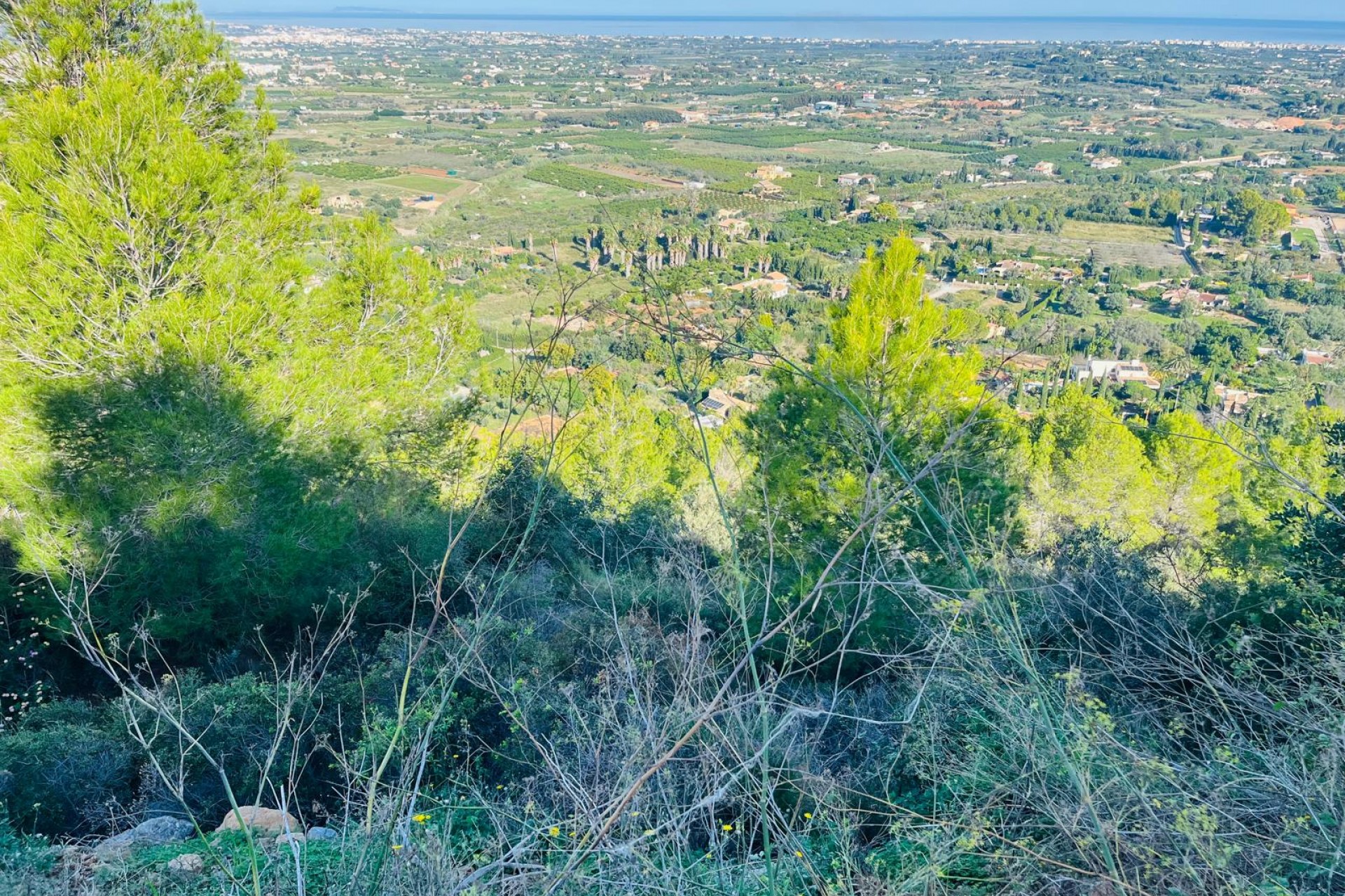 Revente -  -
Pedreguer