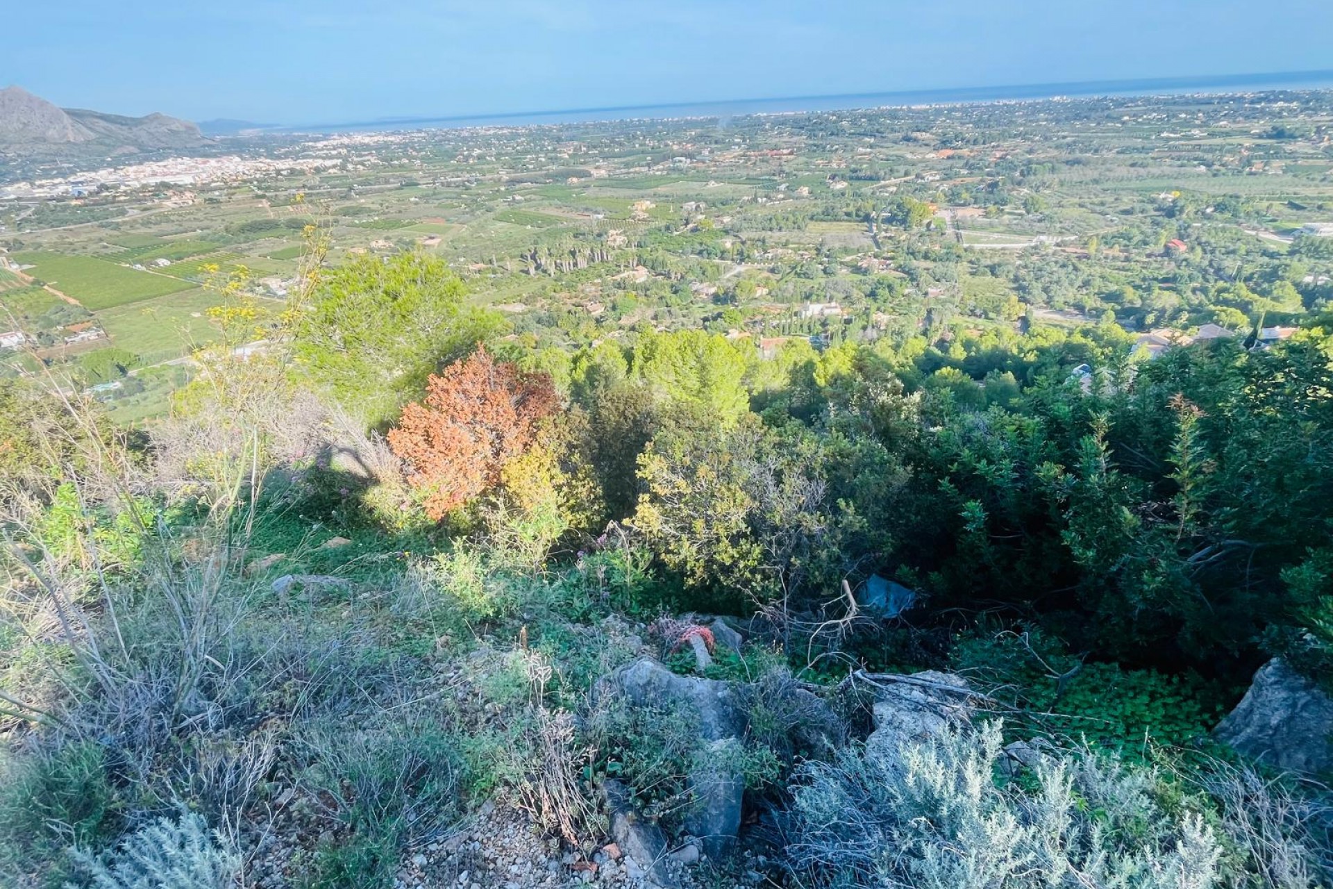 Revente -  -
Pedreguer