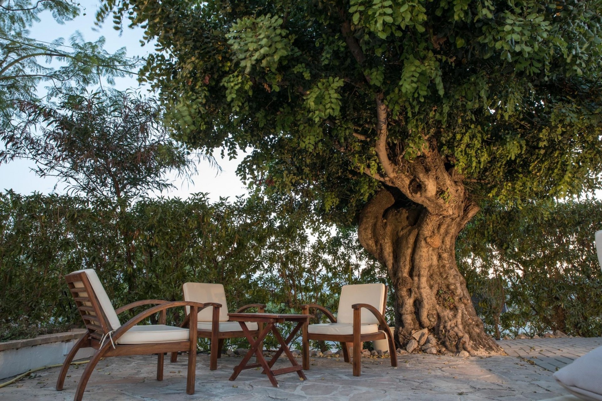 Revente - Restaurant -
Jávea / Xàbia - Montgó - Ermita