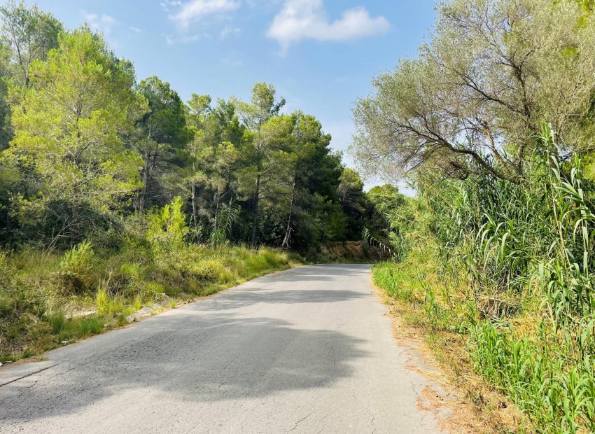 Revente - Tracé -
Altea la Vella