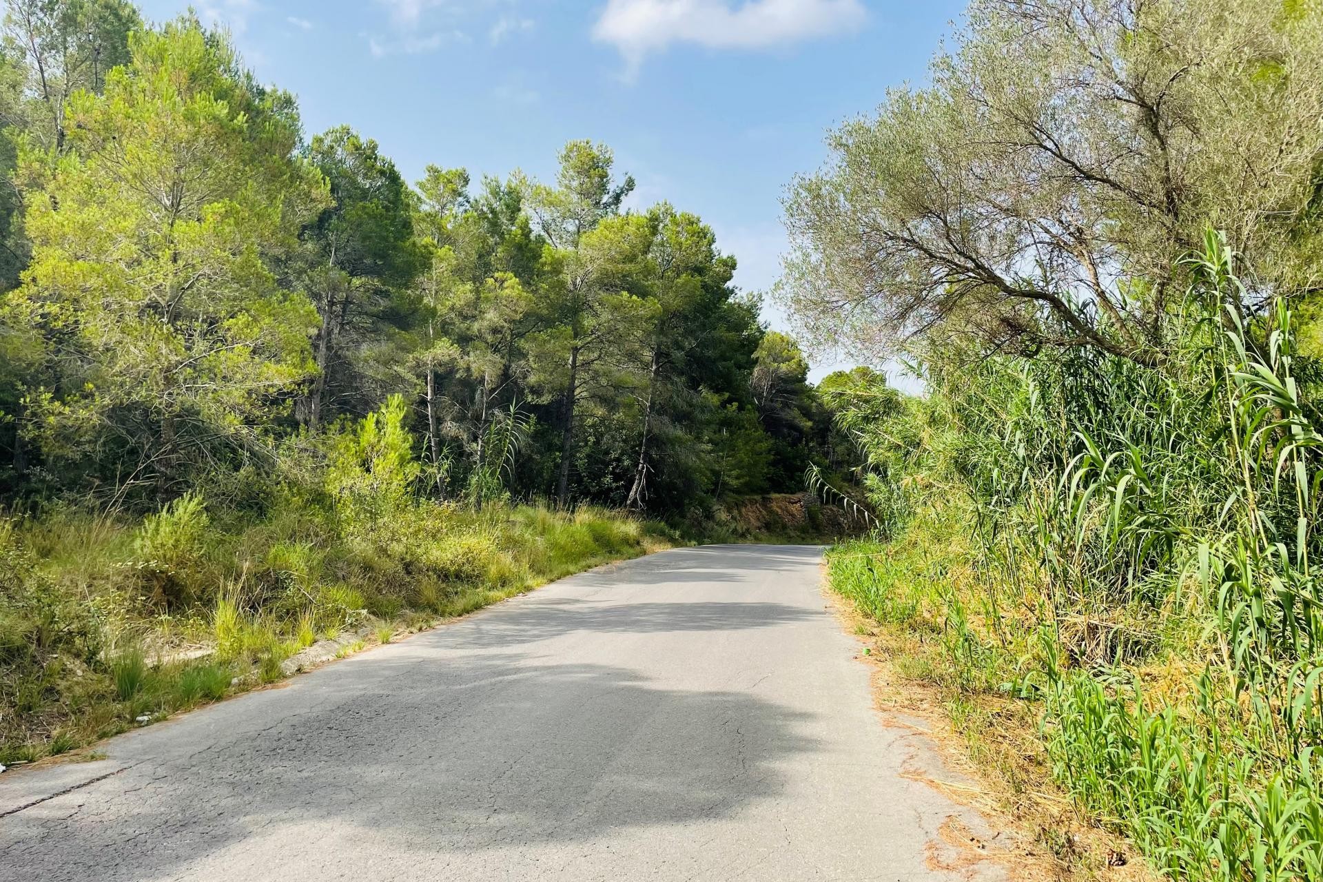 Revente - Tracé -
Altea la Vella