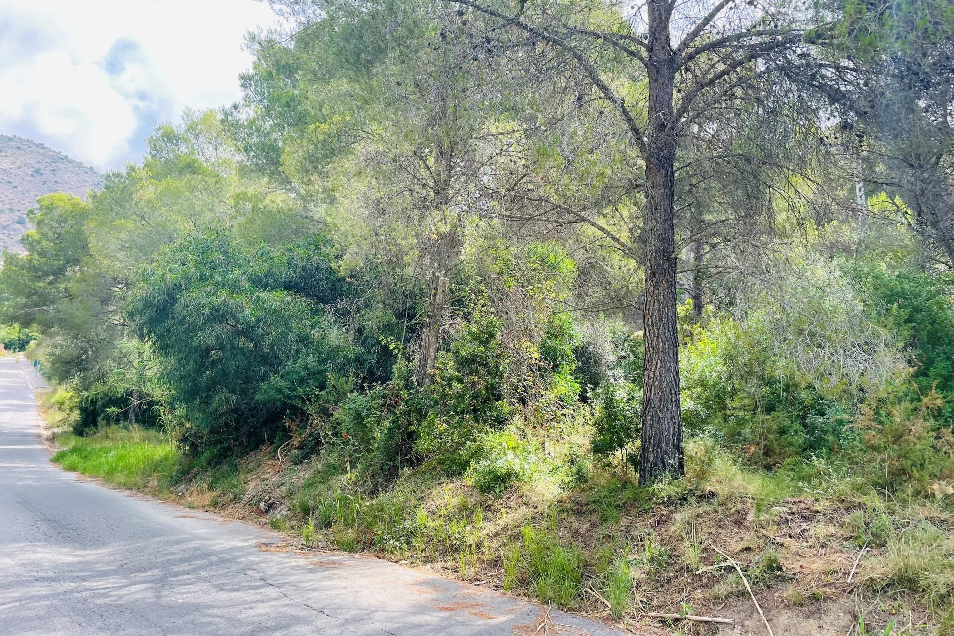Revente - Tracé -
Altea la Vella