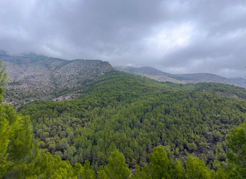 Revente - Tracé -
Altea - Urbanización Santa Clara