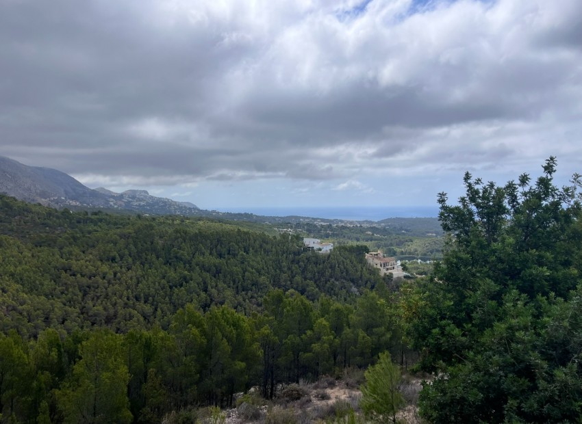 Revente - Tracé -
Altea