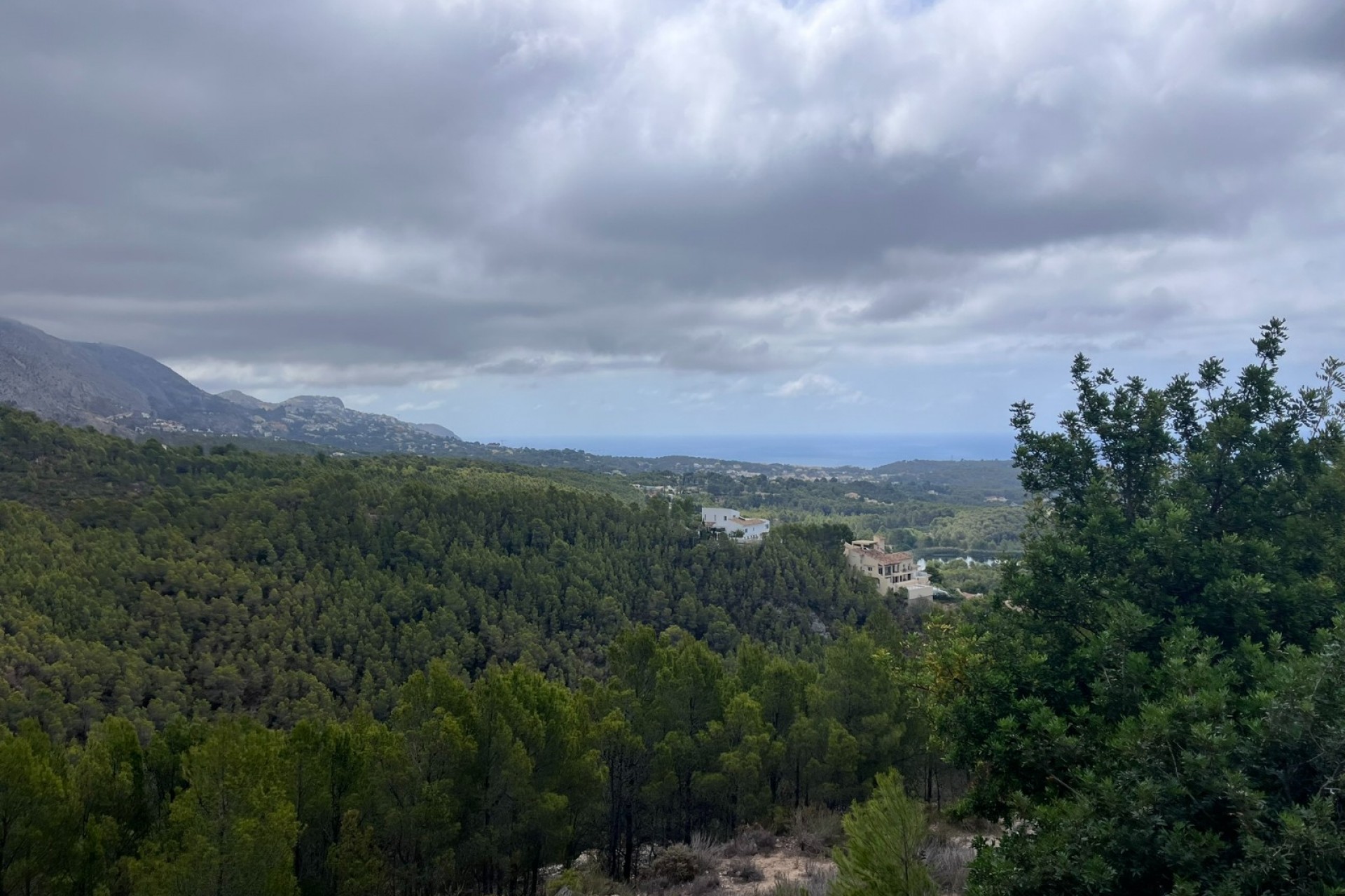 Revente - Tracé -
Altea