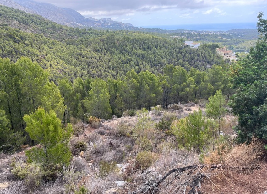 Revente - Tracé -
Altea