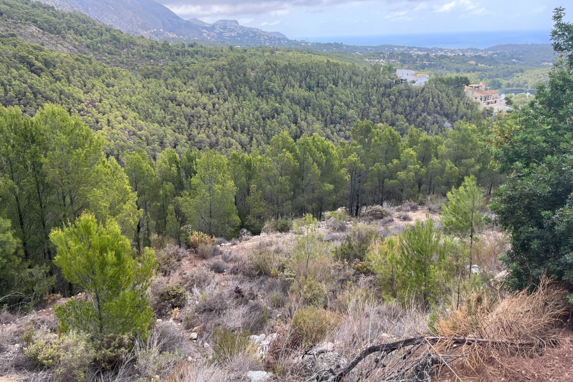 Revente - Tracé -
Altea