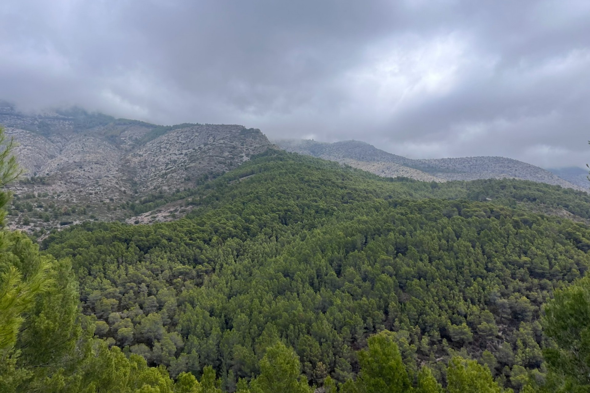 Revente - Tracé -
Altea