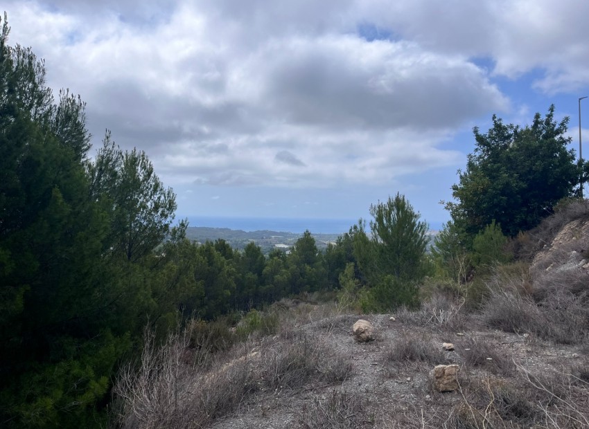 Revente - Tracé -
Altea