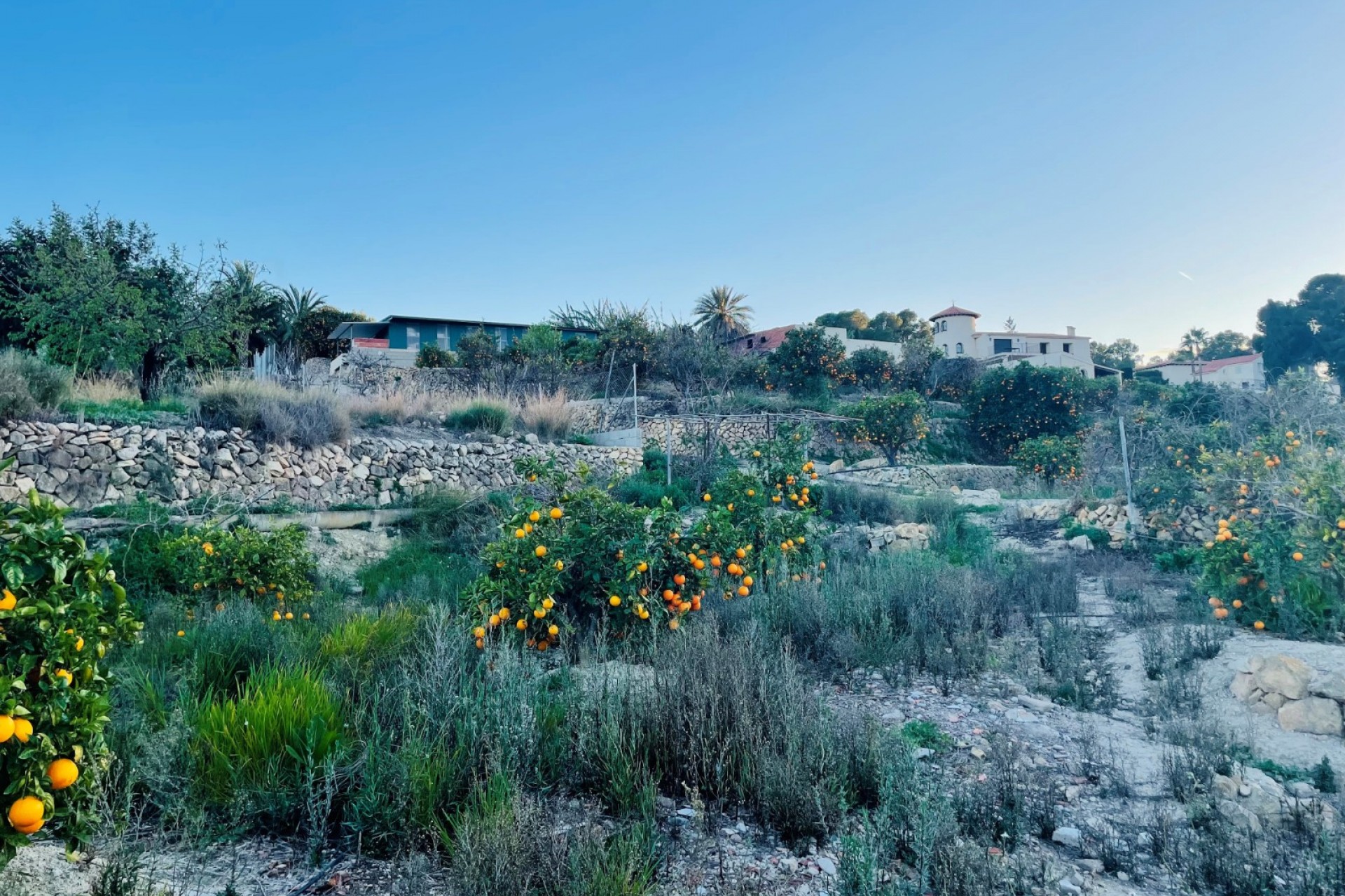 Revente - Tracé -
Altea