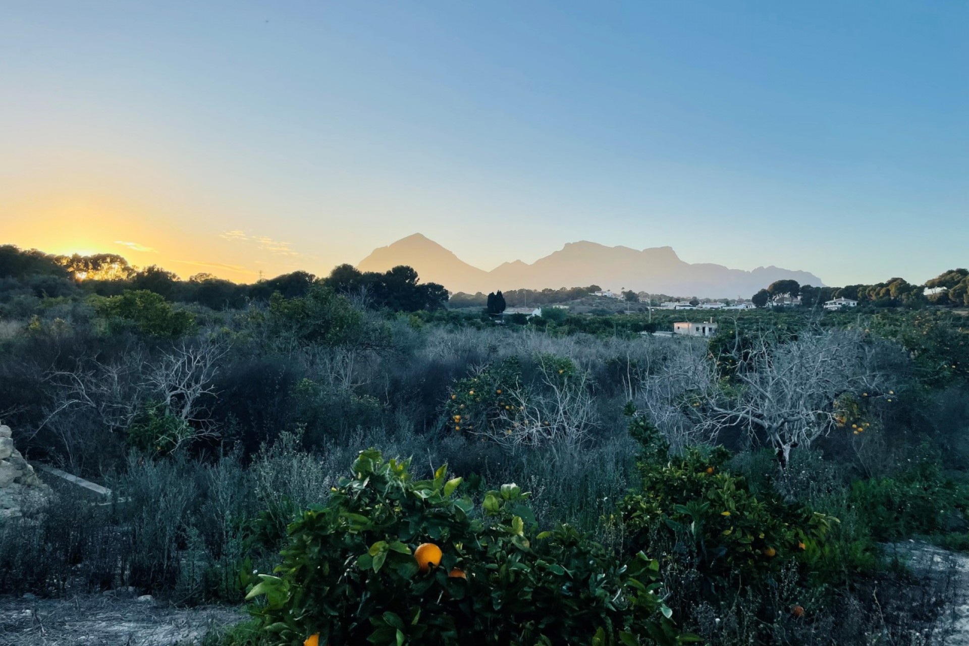 Revente - Tracé -
Altea