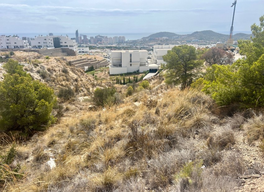 Revente - Tracé -
Finestrat