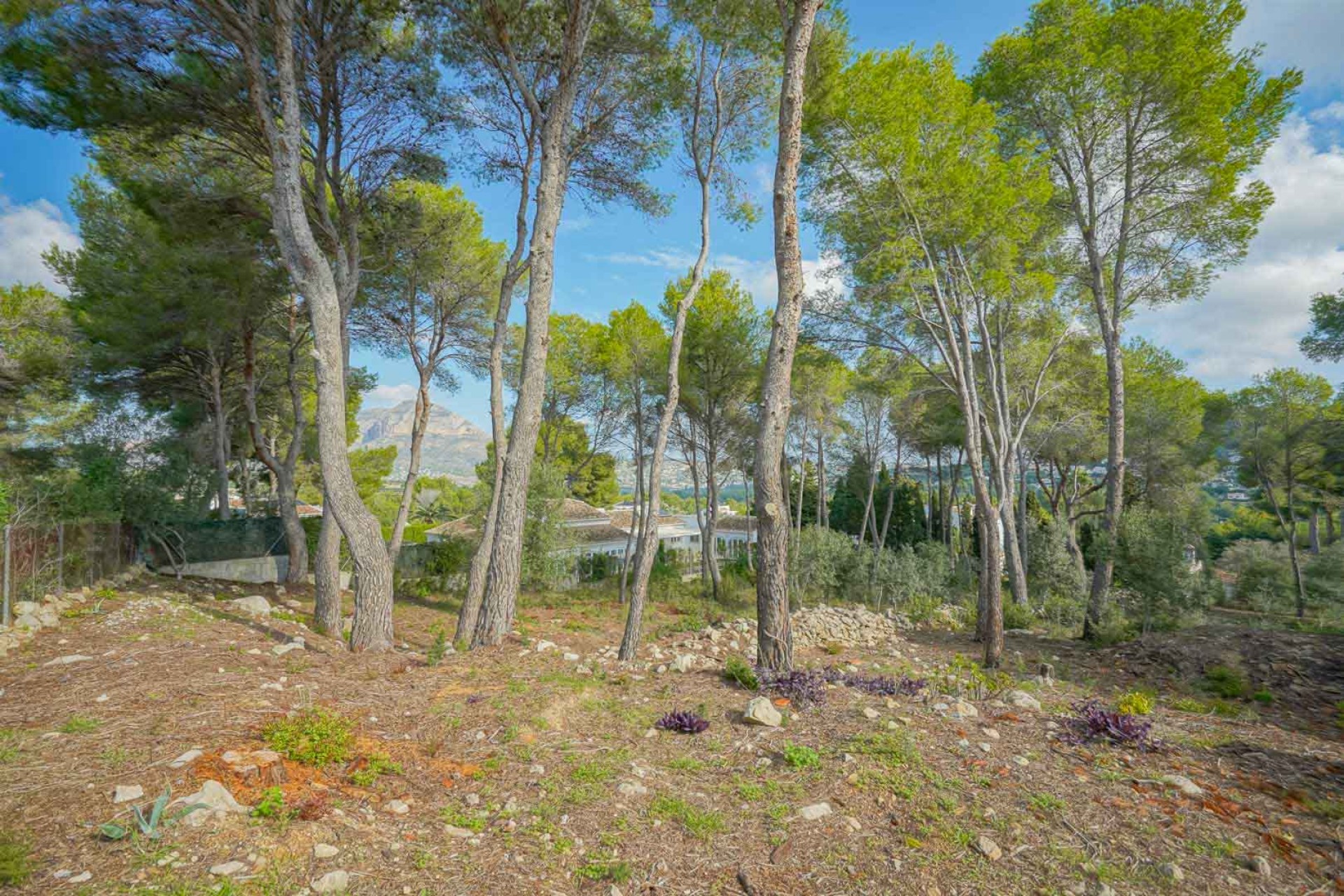 Revente - Tracé -
Jávea - La Lluca