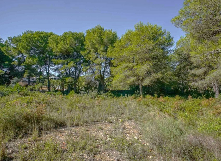 Revente - Tracé -
Jávea - Portichol