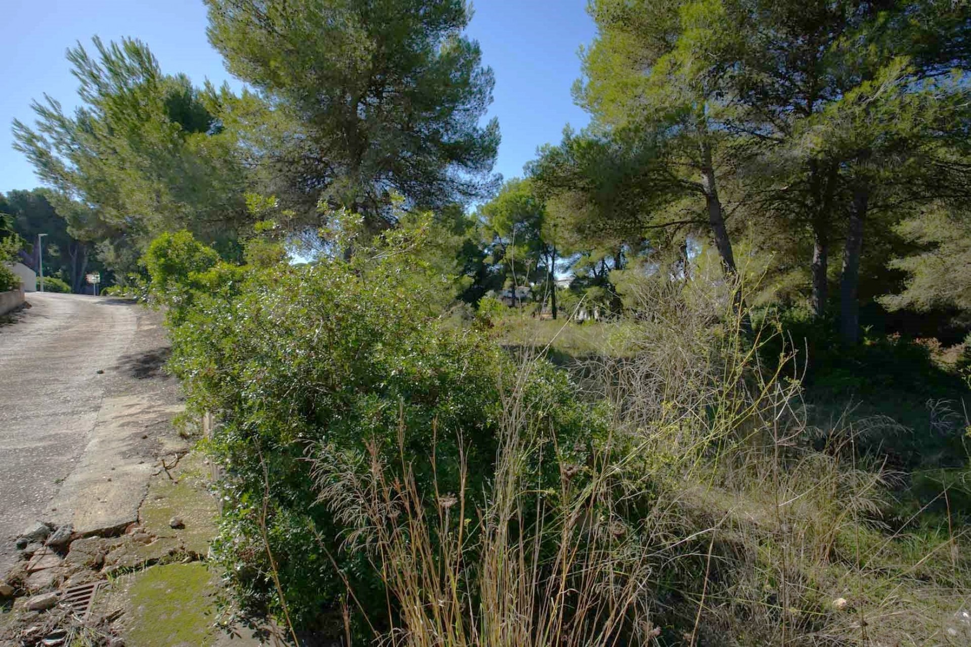 Revente - Tracé -
Jávea - Portichol