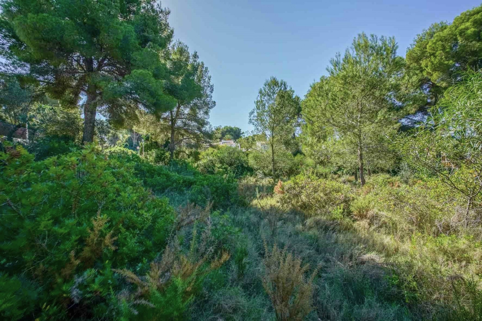 Revente - Tracé -
Jávea - Portichol