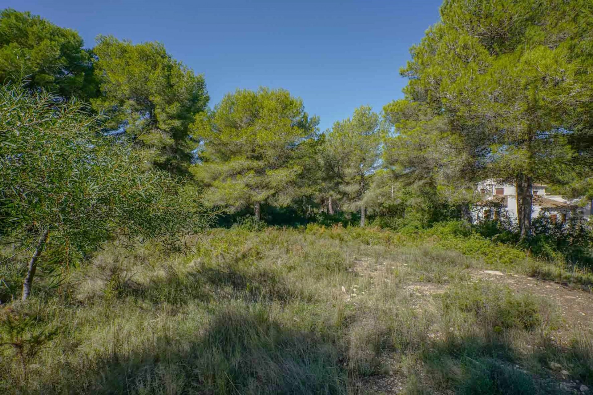 Revente - Tracé -
Jávea - Portichol