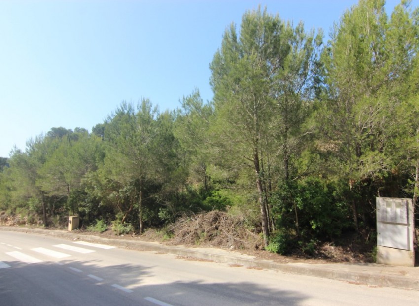Revente - Tracé -
Jávea - Tosalet