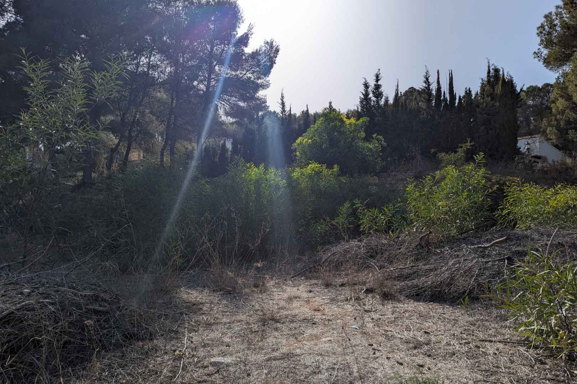 Revente - Tracé -
Moraira - Pinar del Advocat