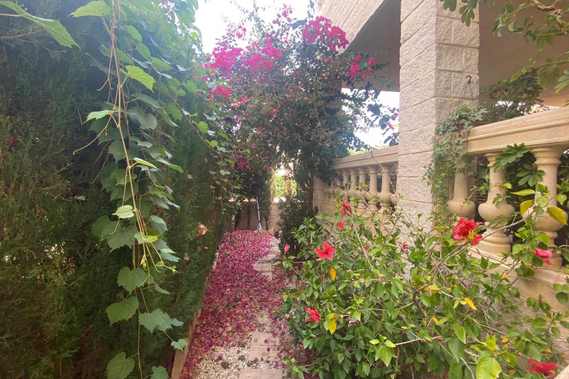 Revente - Villa -
Albir