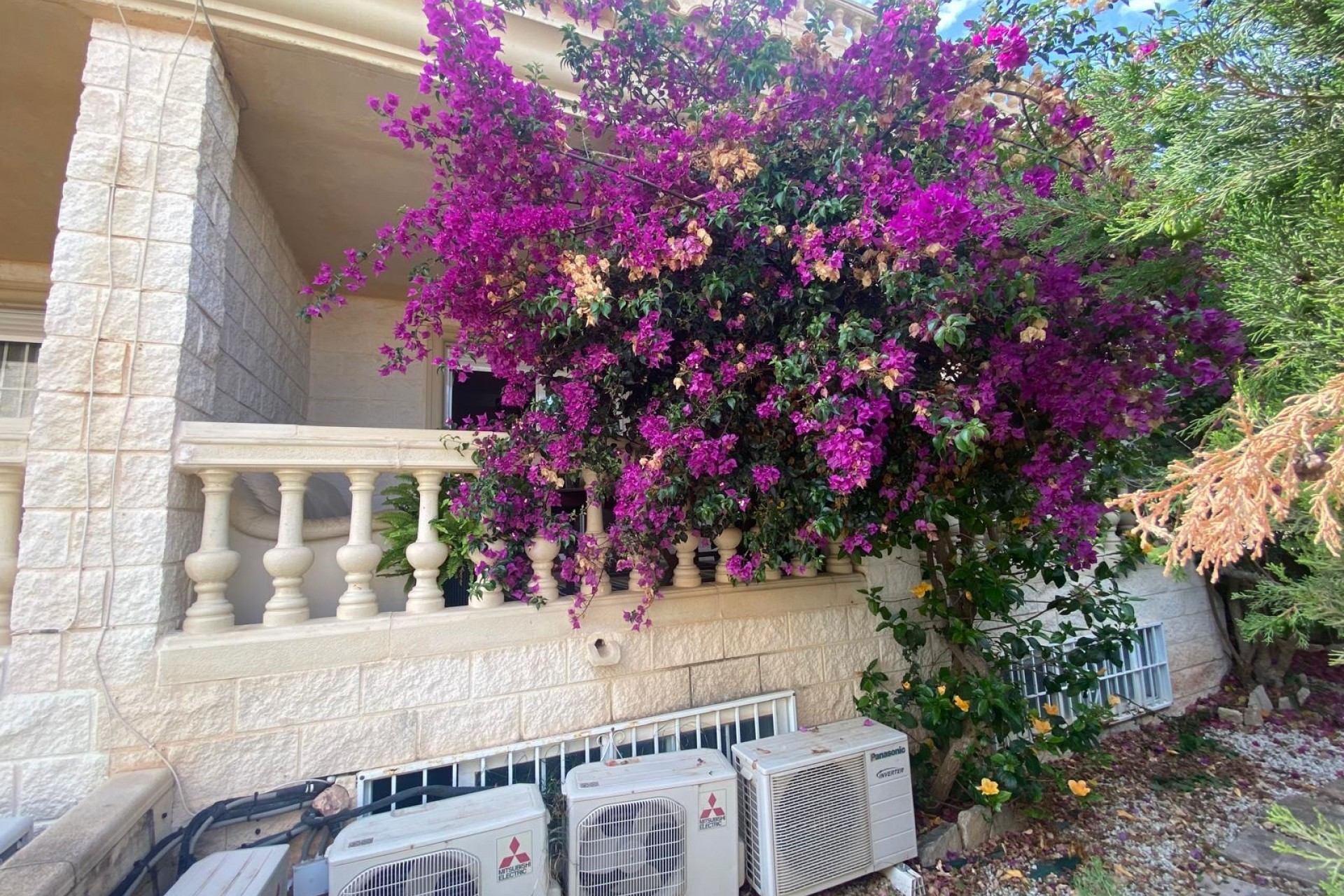 Revente - Villa -
Albir