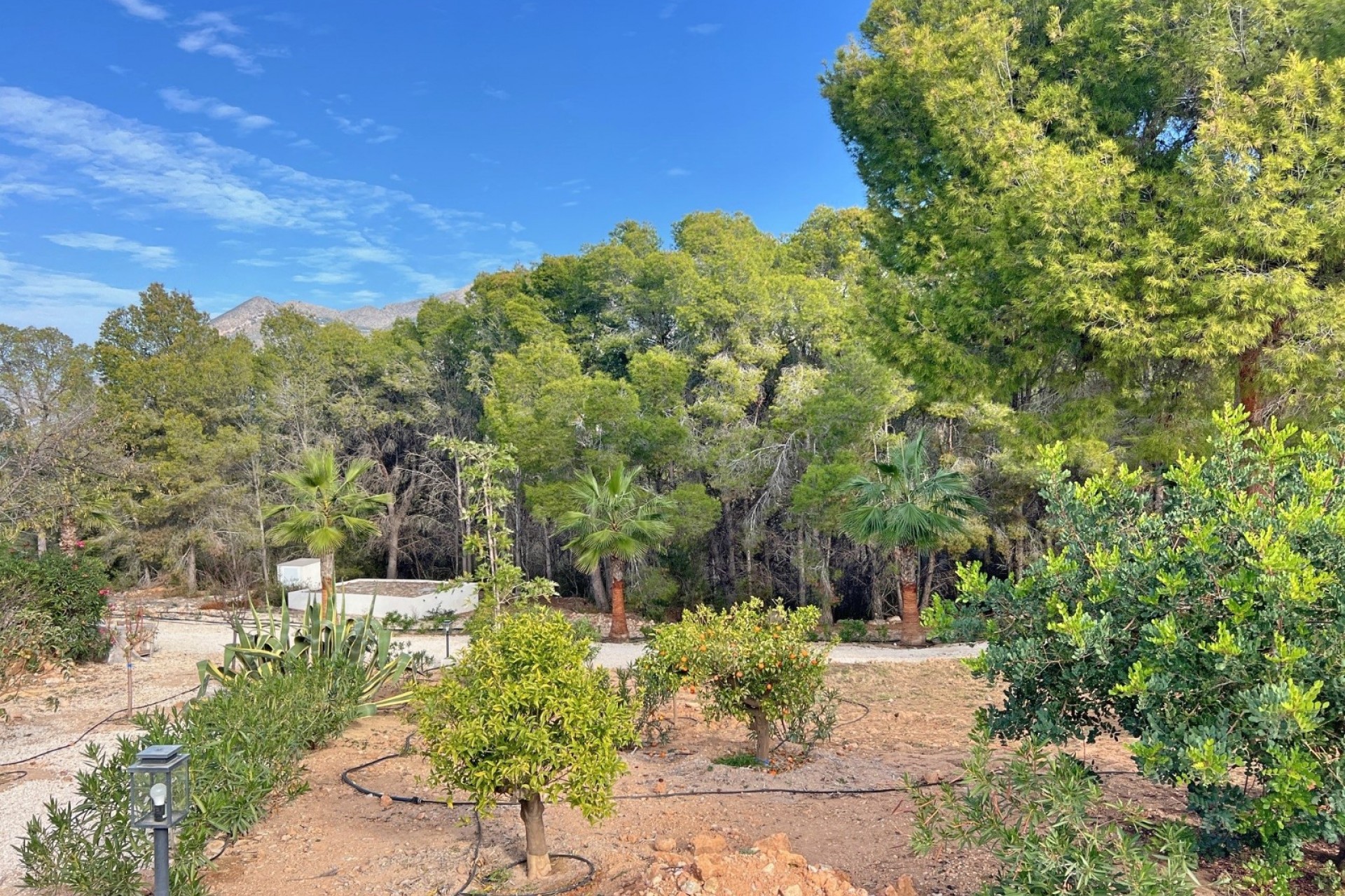 Revente - Villa -
Altea