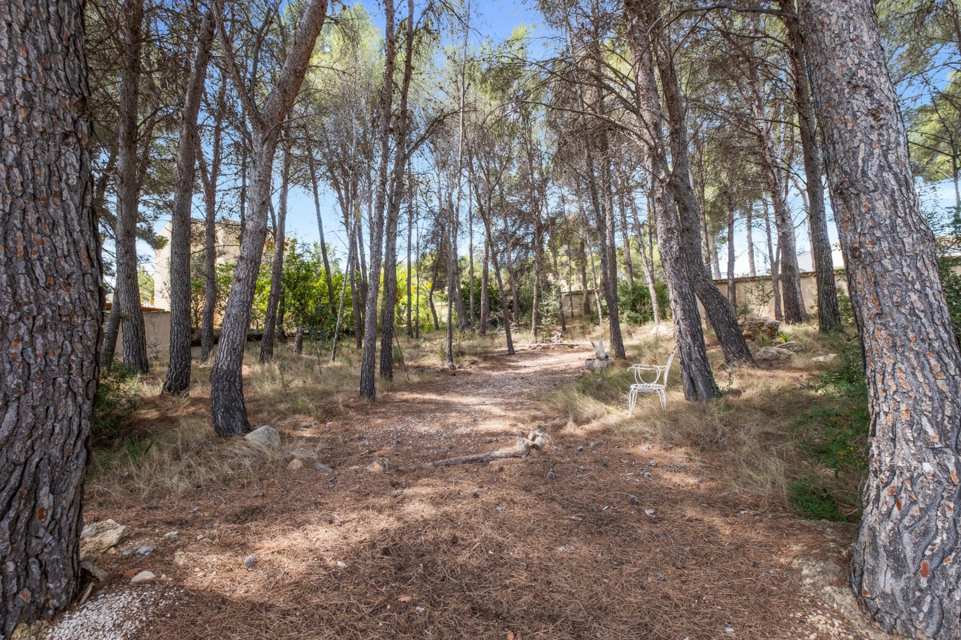 Revente - Villa -
Altea