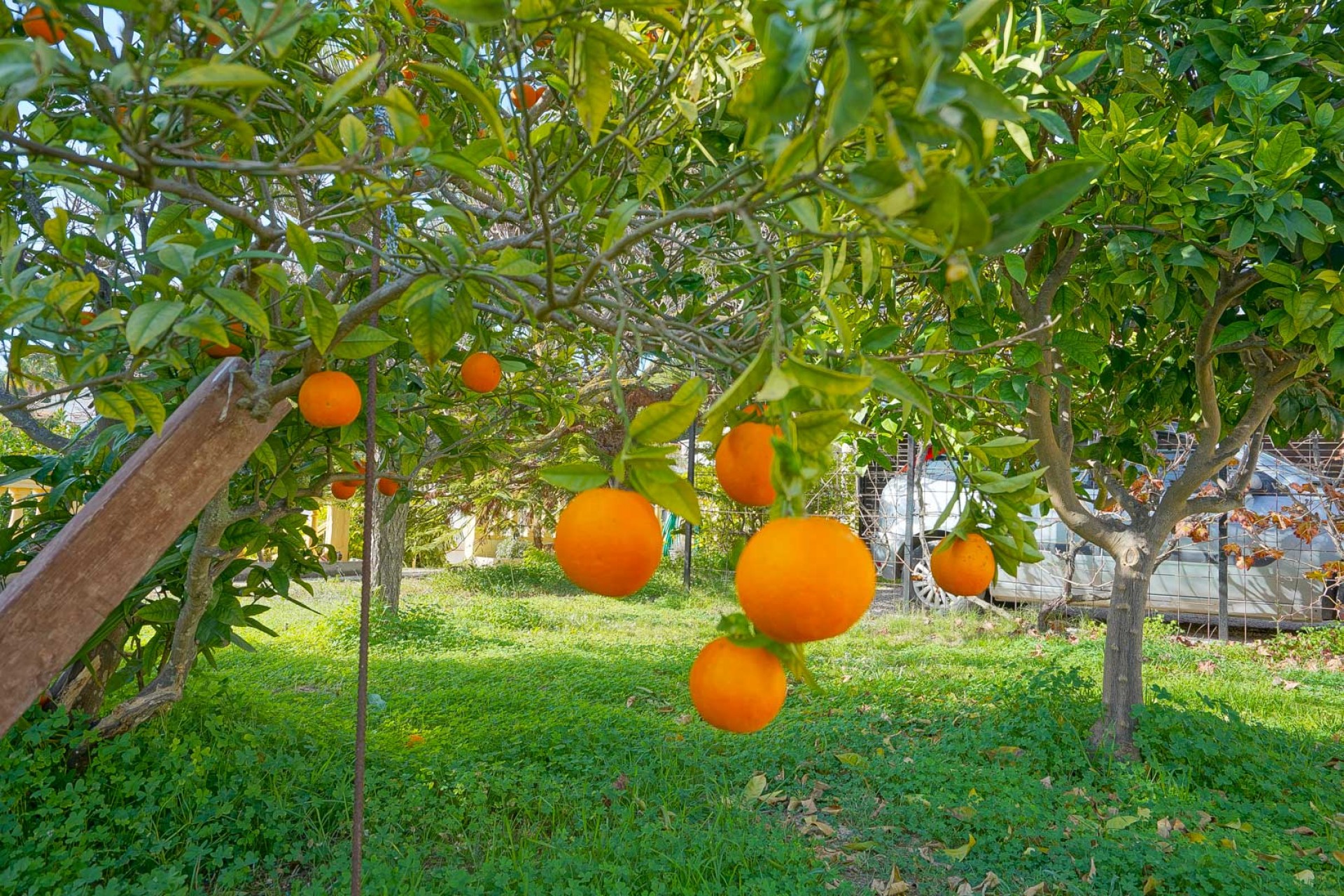 Revente - Villa -
Benissa - La Fustera