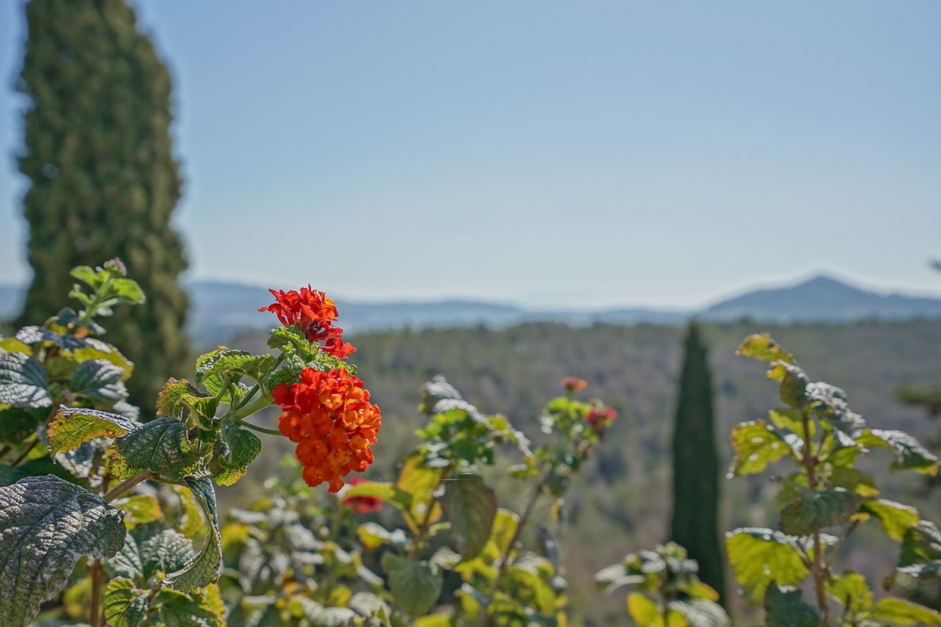Revente - Villa -
Benissa