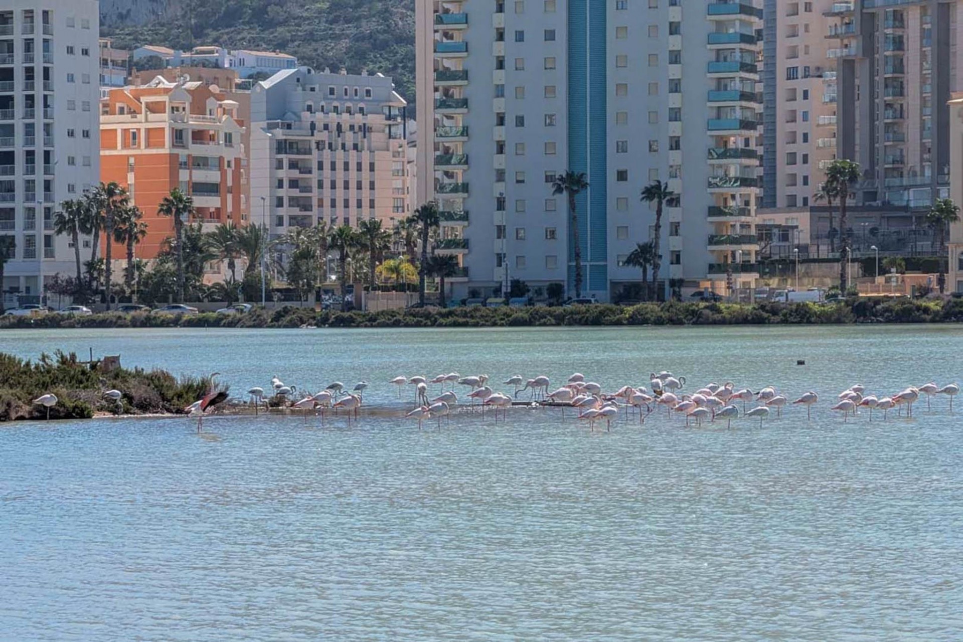 Revente - Villa -
Calpe