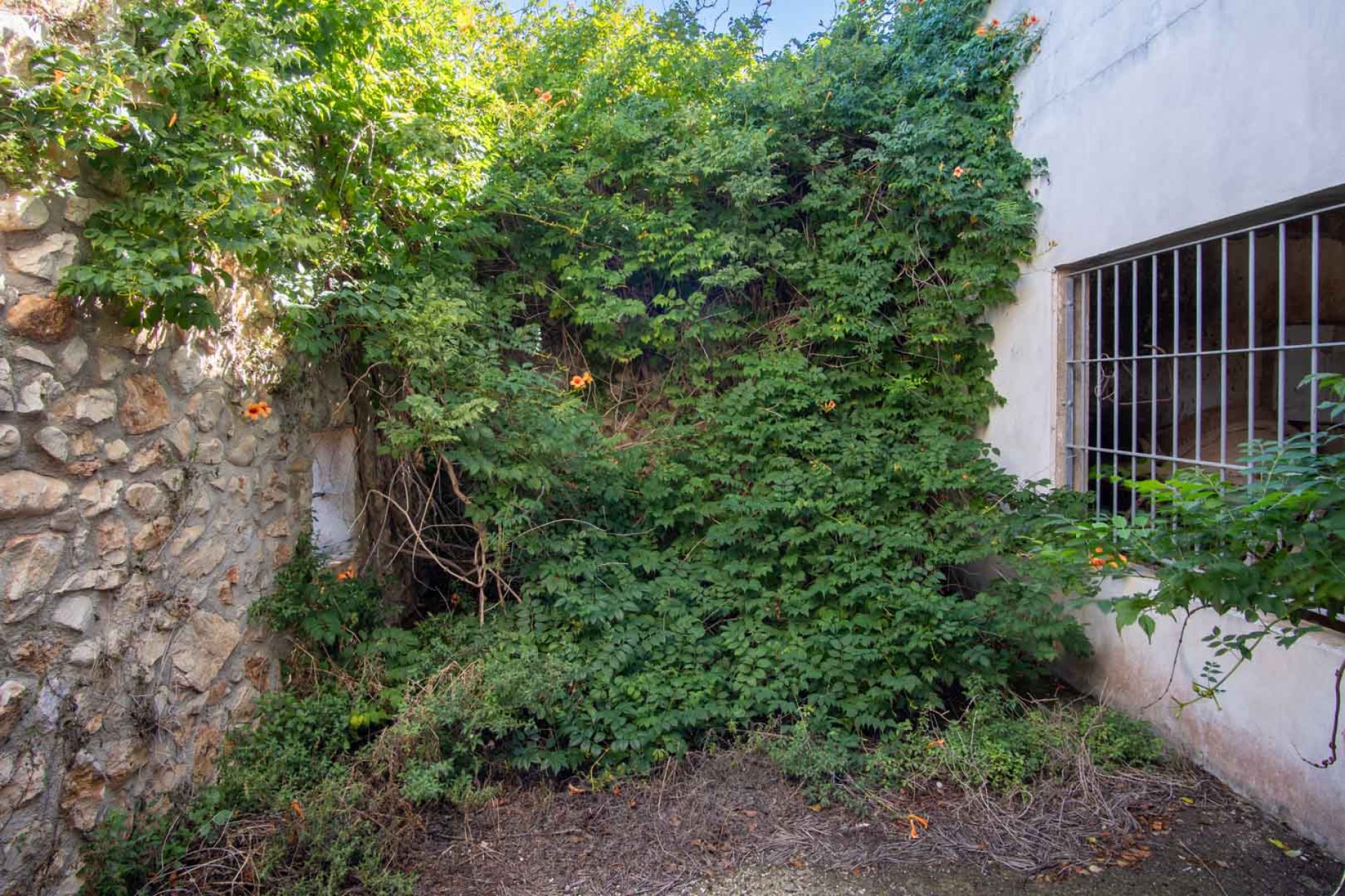 Revente - Villa -
Denia