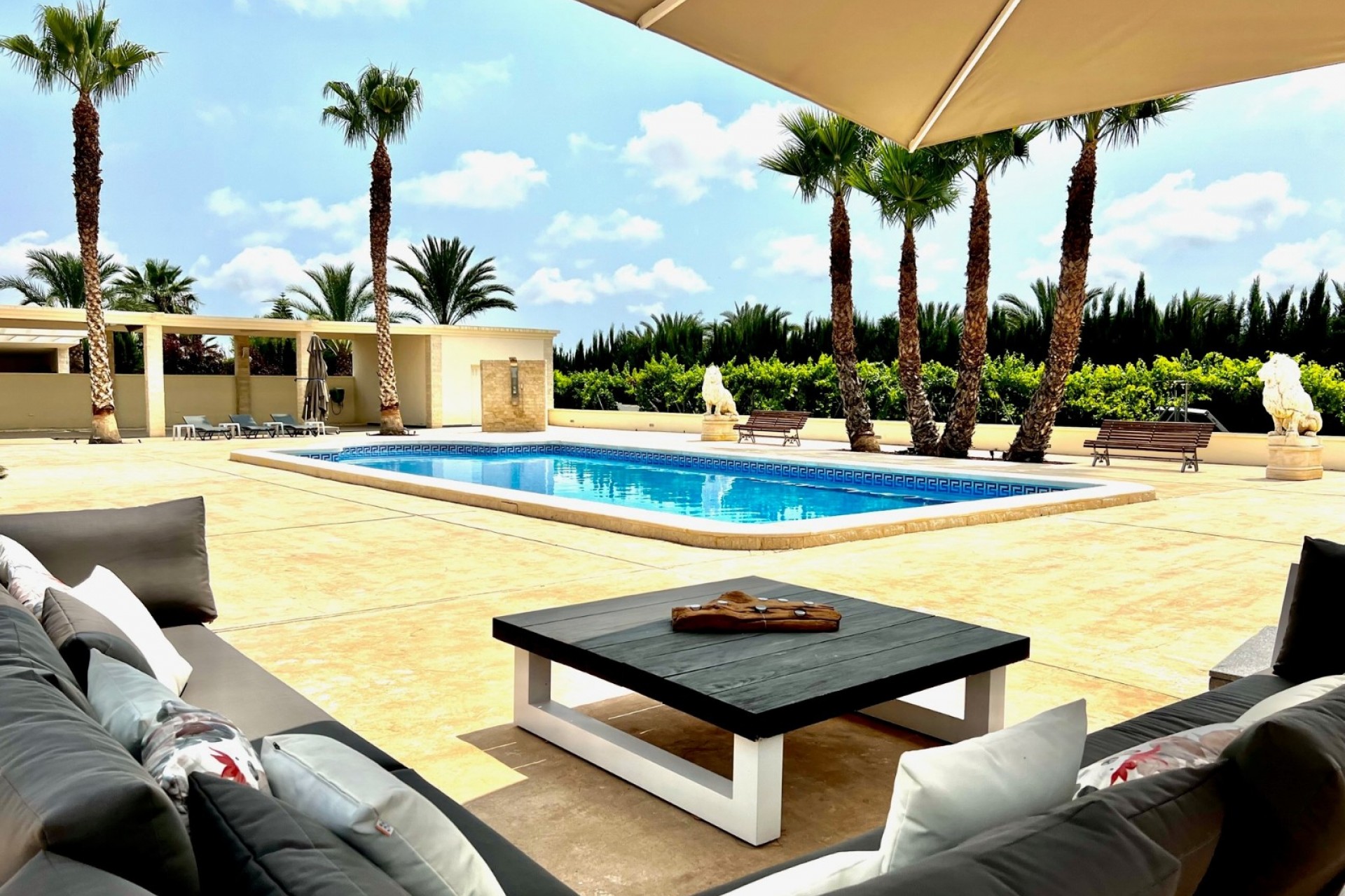 Revente - Villa -
Elche