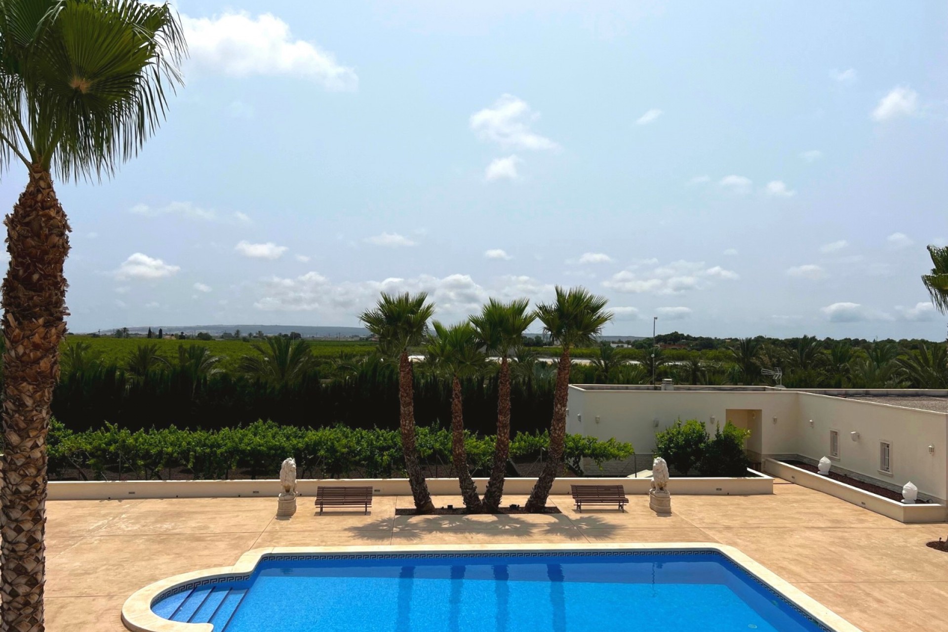 Revente - Villa -
Elche