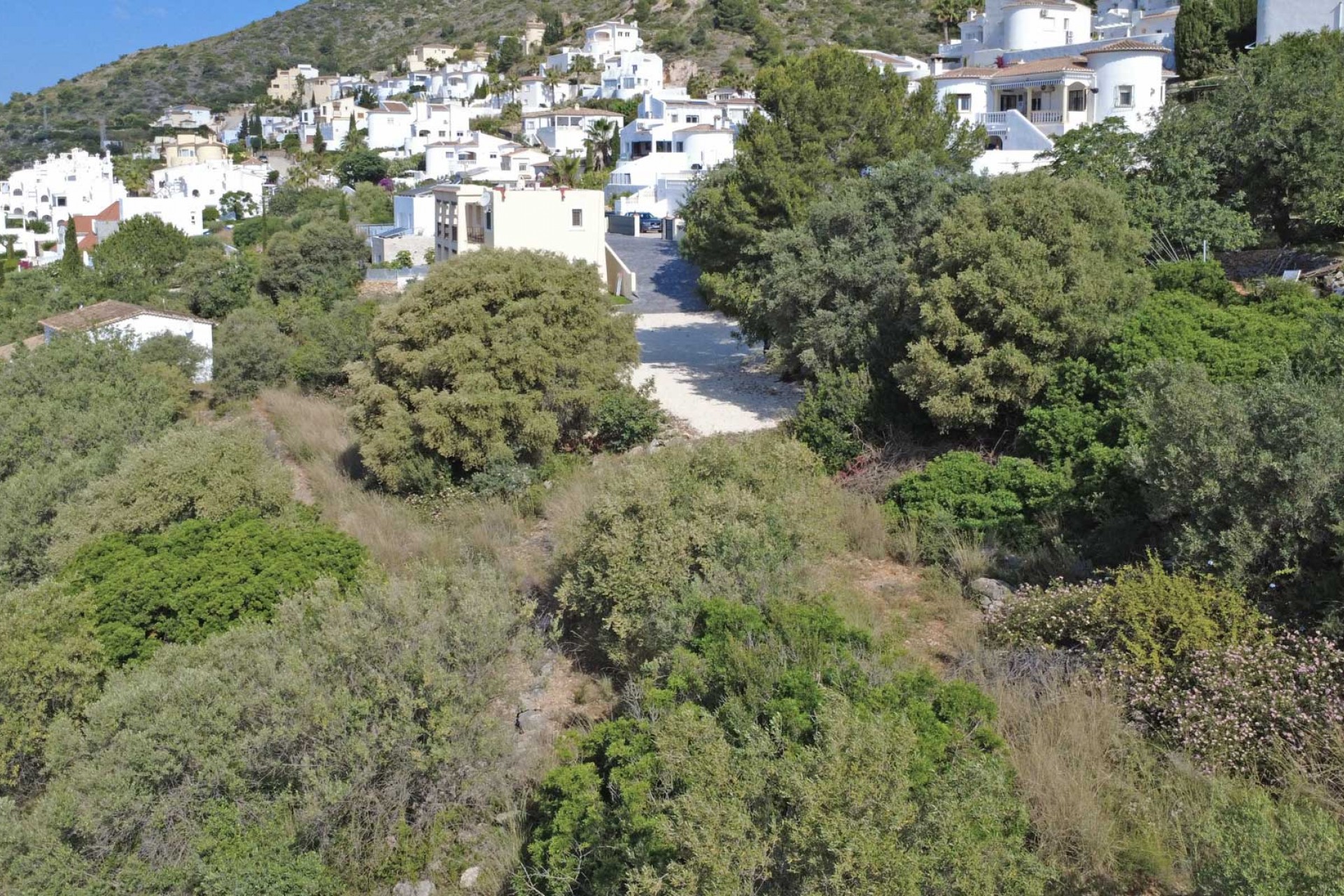 Revente - Villa -
Jalón